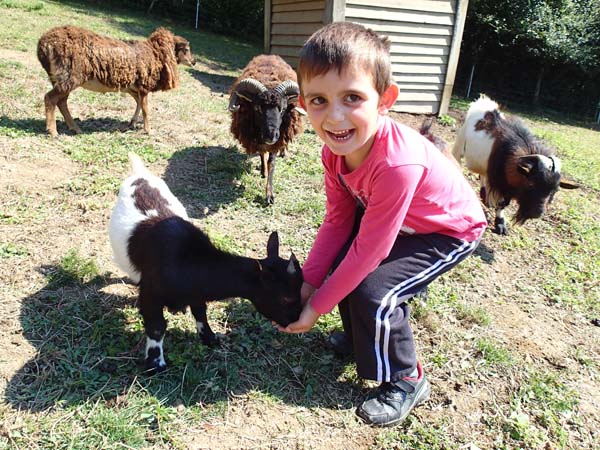 La mini-ferme